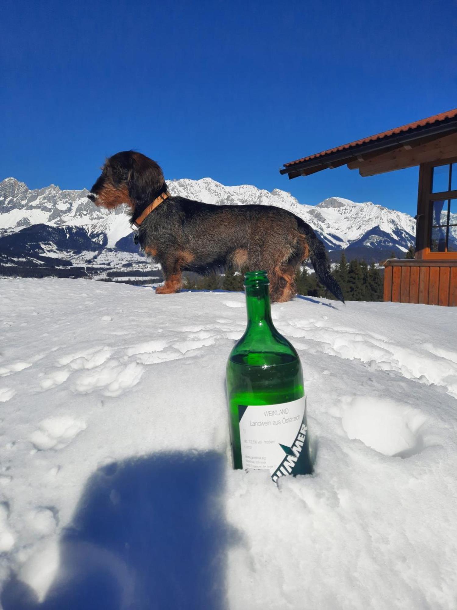 Haus Rigl Lägenhet Schladming Exteriör bild
