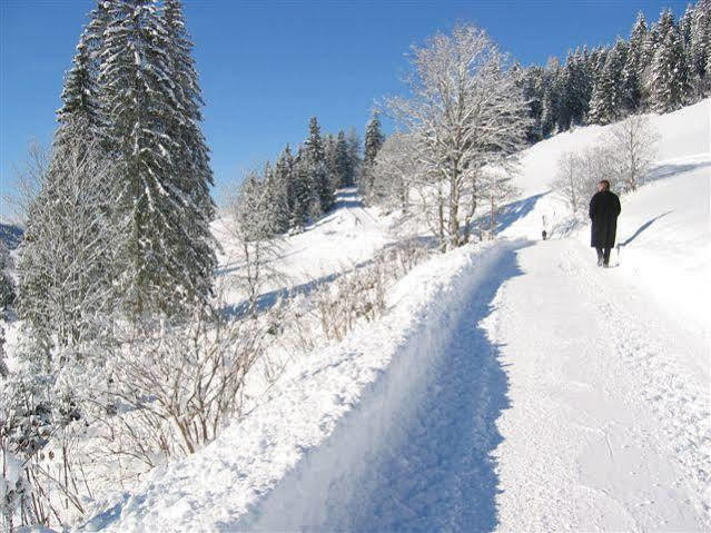 Haus Rigl Lägenhet Schladming Exteriör bild